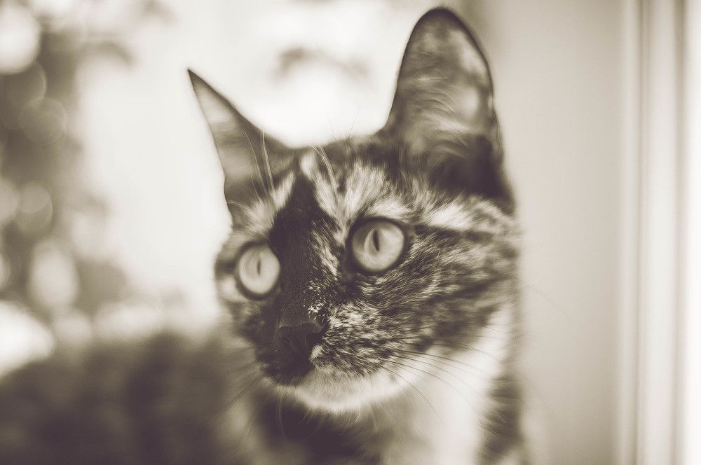 Photograph by Дмитрий Пацук