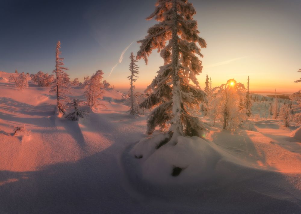 Photograph by Абрамов Денис