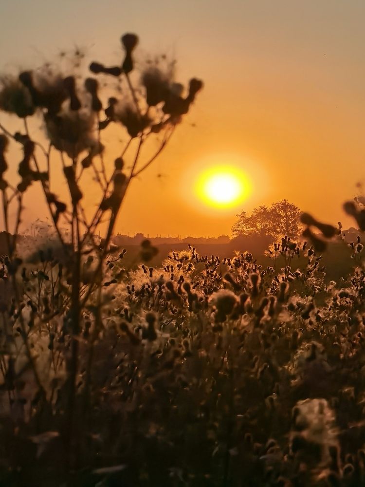 Photograph by Наталья Милородова