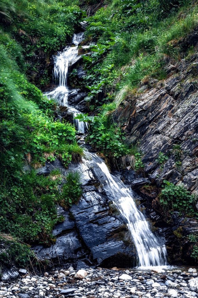 Photograph by Света Богоявленская