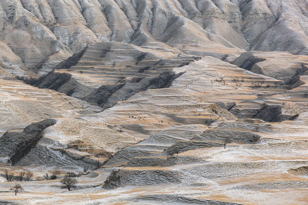 Photograph by Романова Екатерина