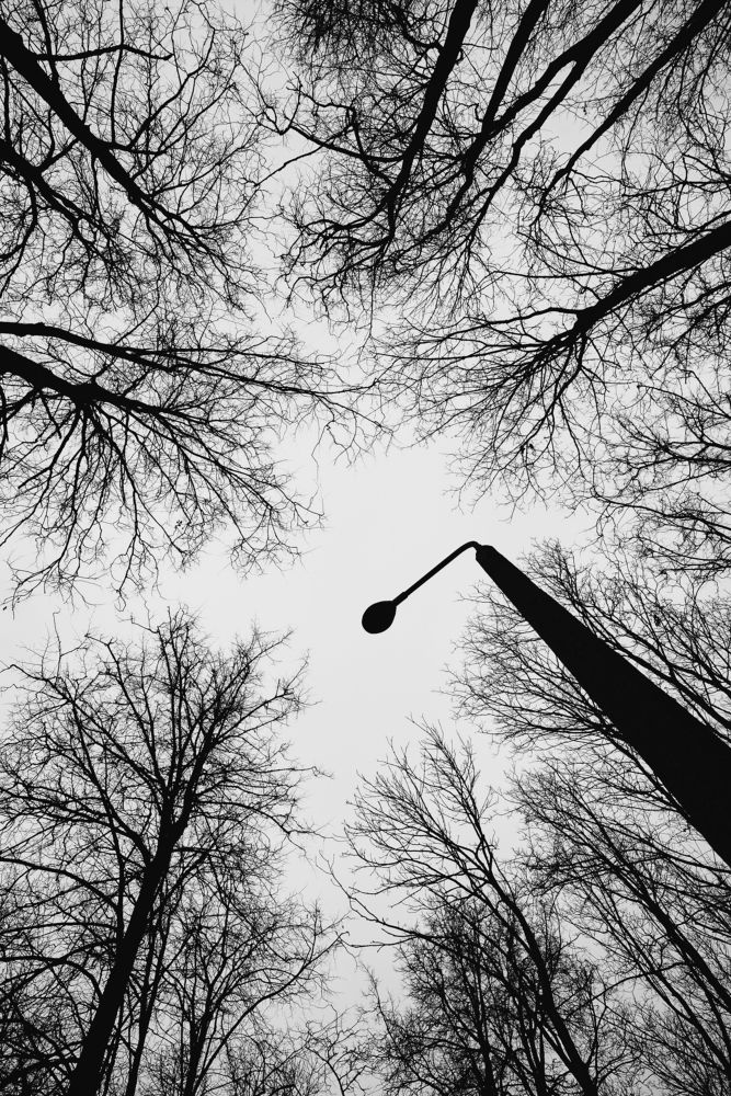 Photograph by Валерий Зенович