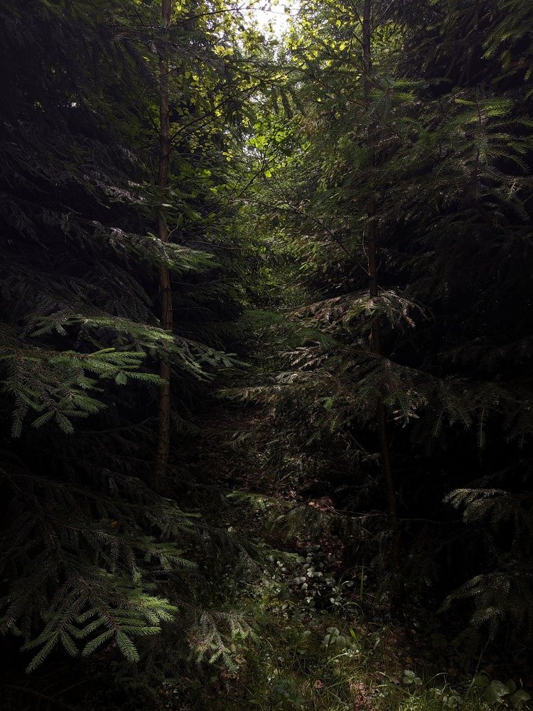 Photograph by Екатерина Чижевская