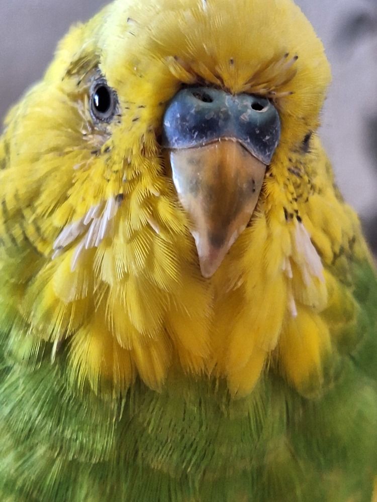 Photograph by Оксана Антипова