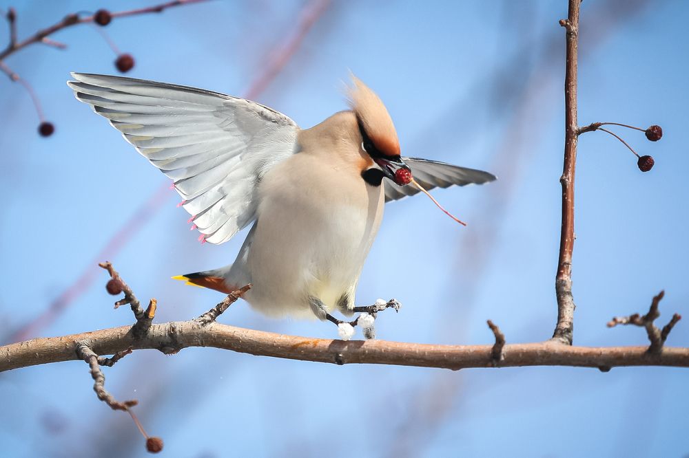 Photograph by Дмитрий Шабалин
