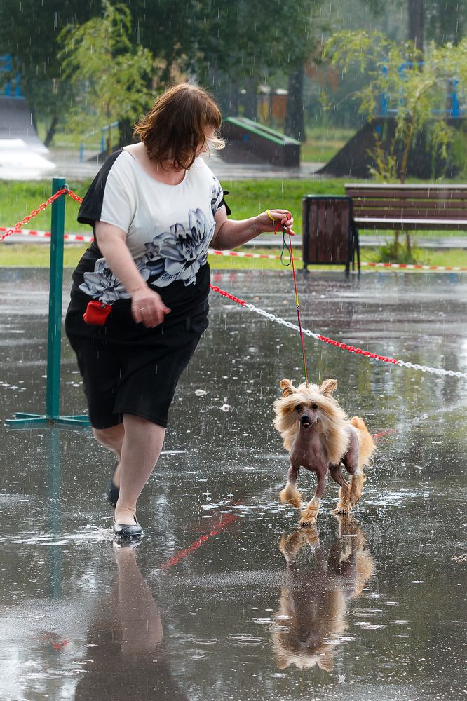 Photograph by Людмила Бандурина