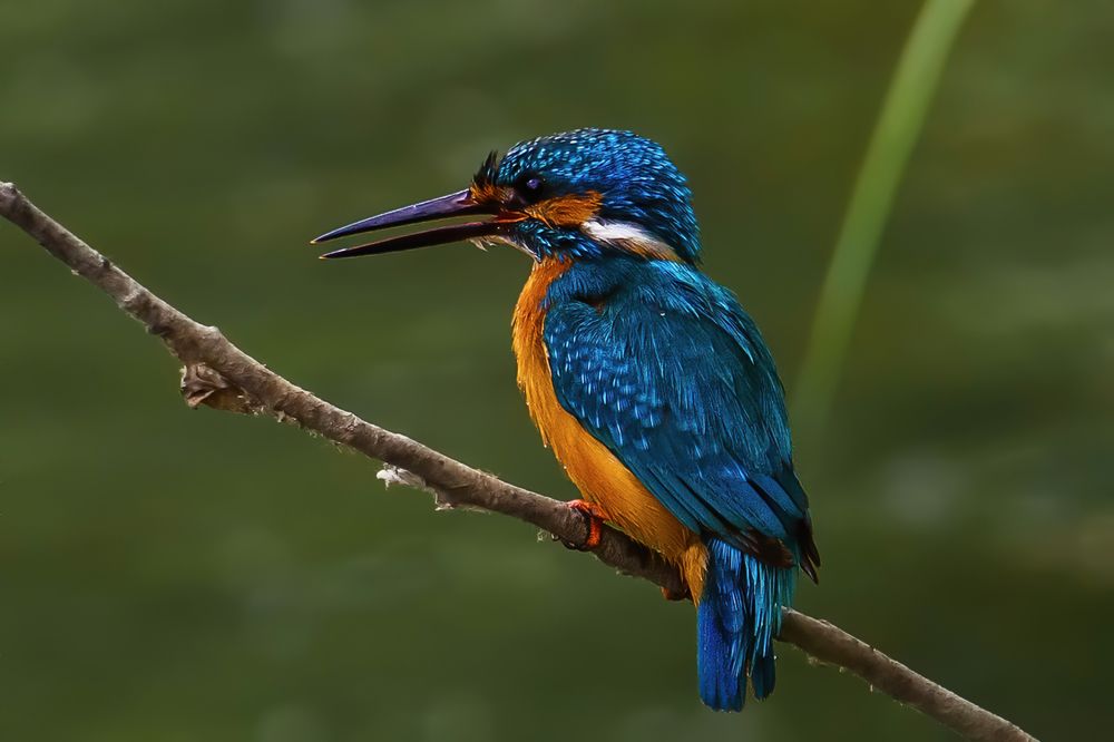 Photograph by Поляков Алексей