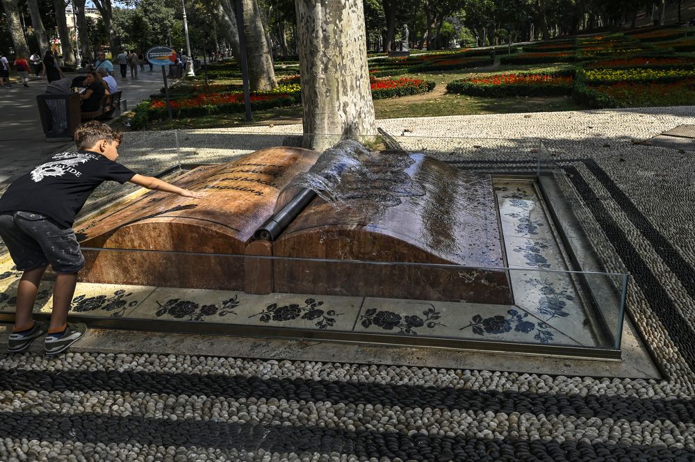 Photograph by Юлия Лис-а