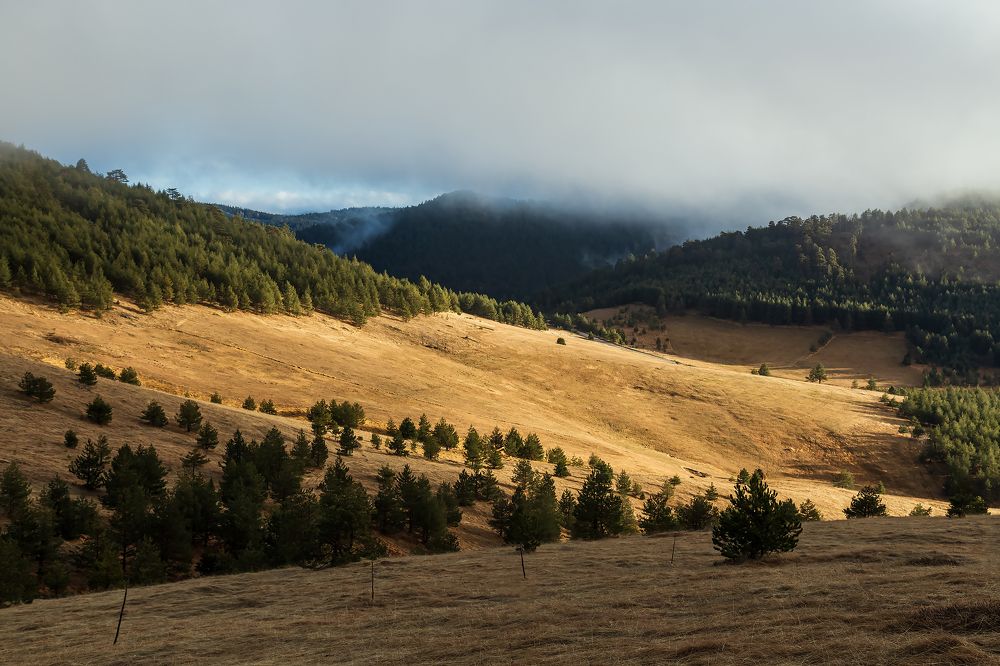 Photograph by Alexey Molotkov