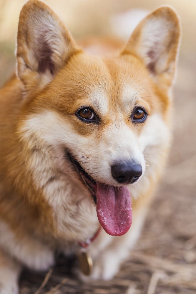 Photograph by Анна Полушина