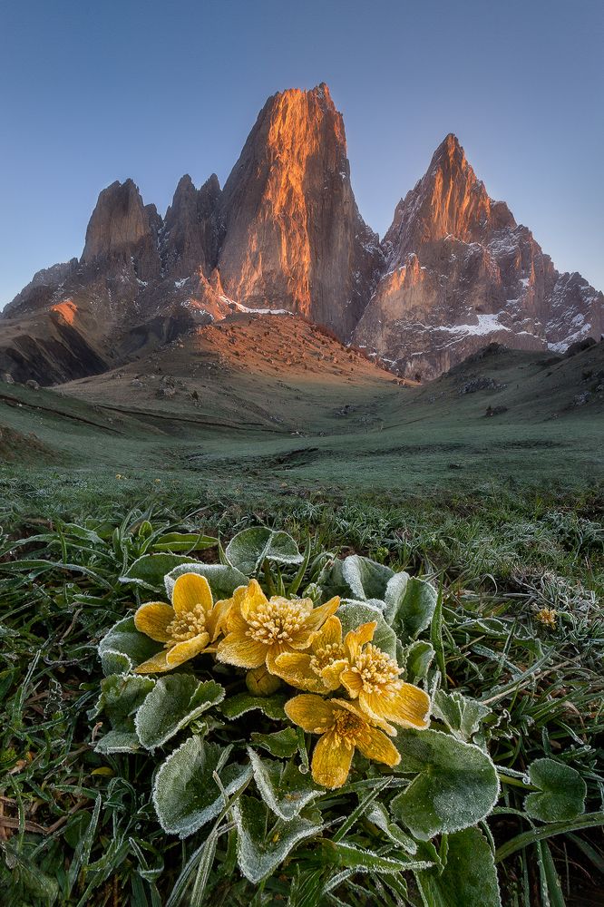 Майское утро