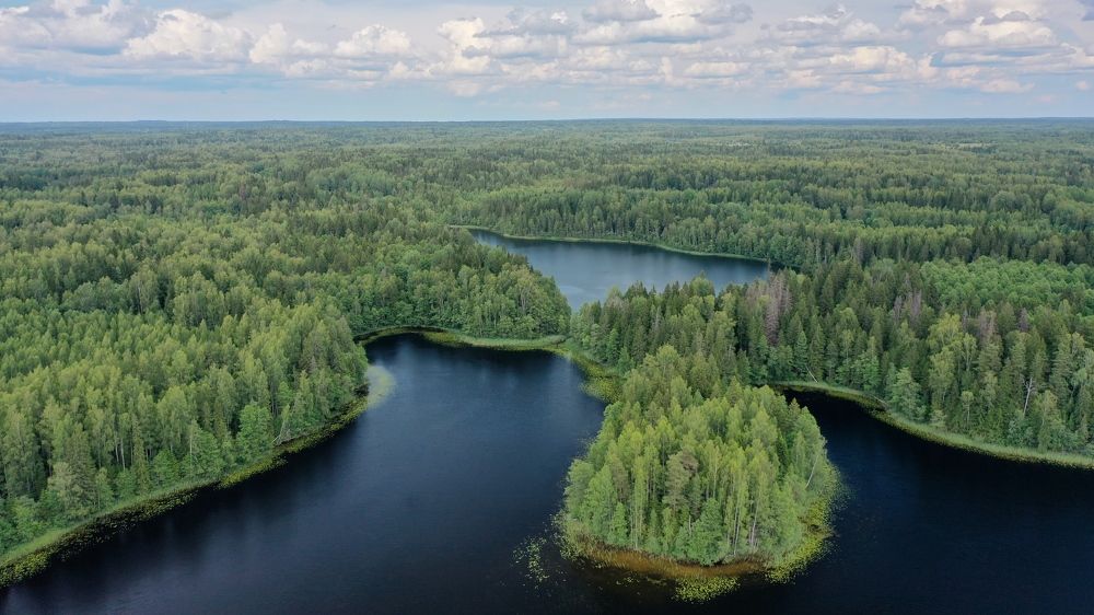 Photograph by Геннадий Ковалевский