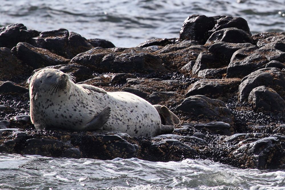 Фотография автора Александр Челмодеев