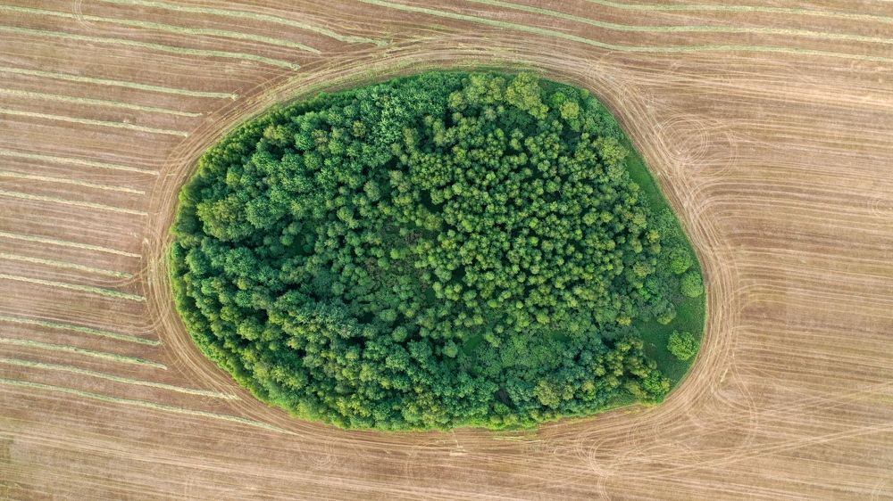 Photograph by Геннадий Ковалевский