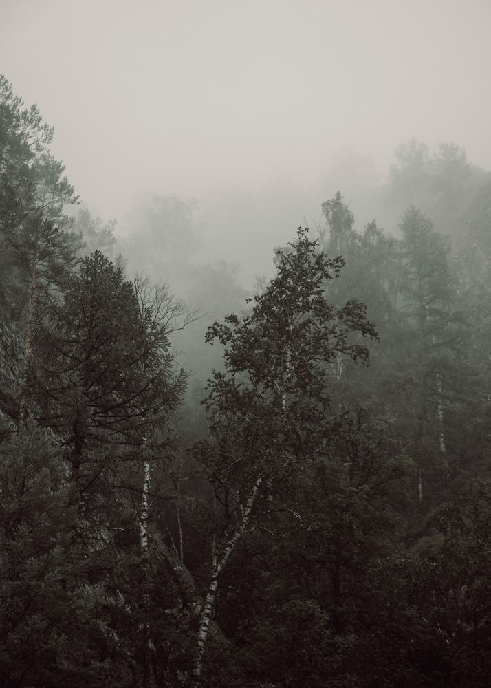 Photograph by Сагдиева Эльвира