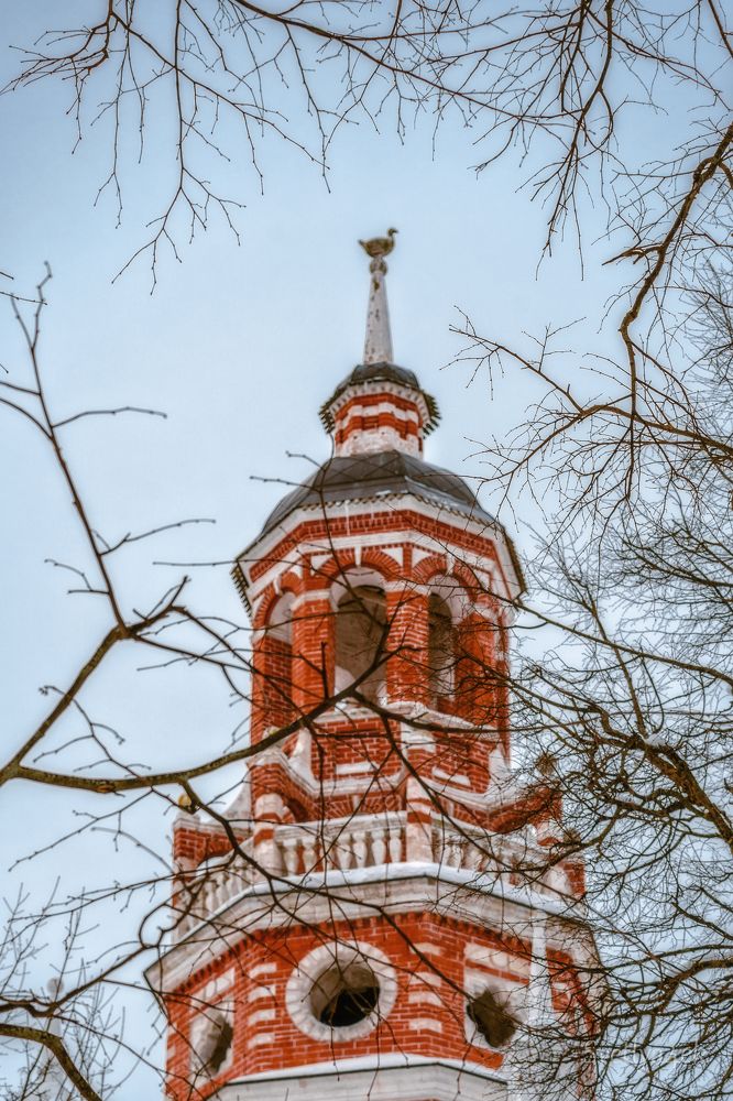 Photograph by Света Богоявленская