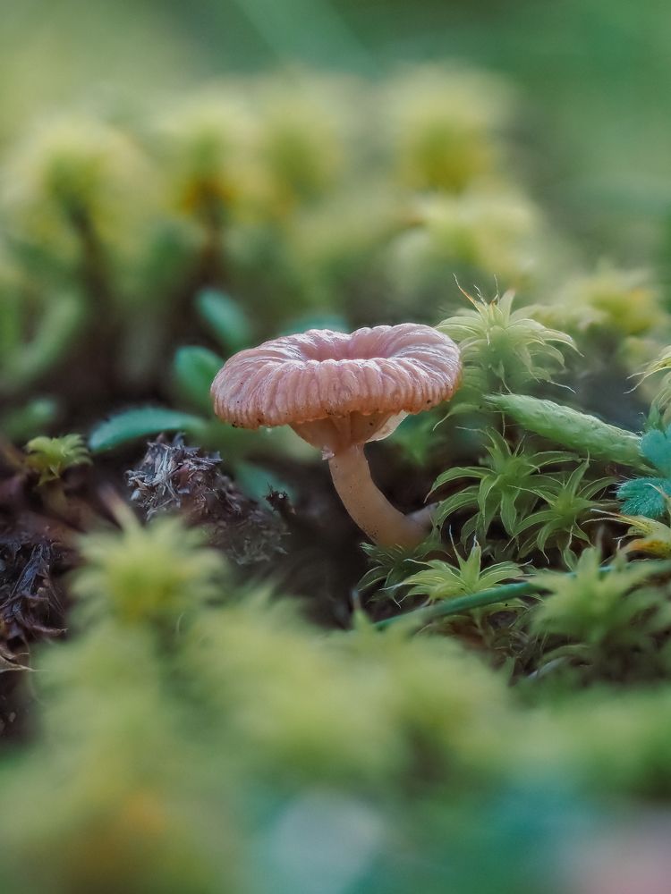 Photograph by Протченко Ирина