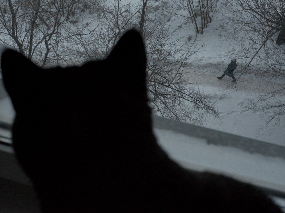 Photograph by Инна Лисовская