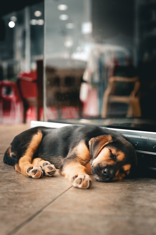 Фотография автора Барсуков Владимир