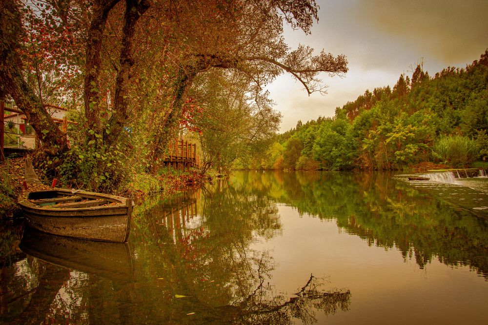 Photograph by Luís Perdigão