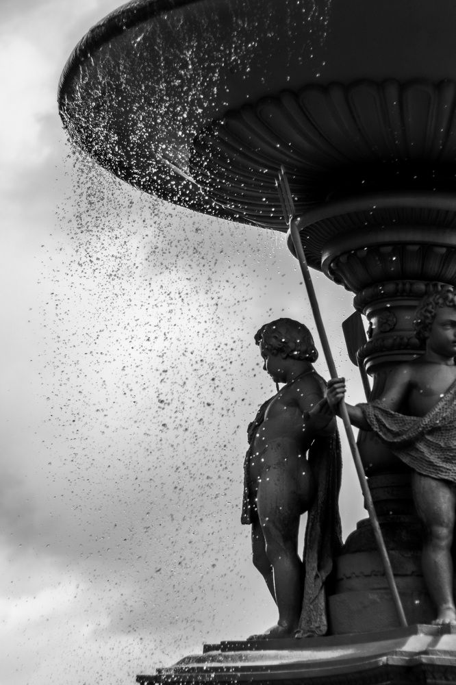 Фотография автора Лада Пасеко