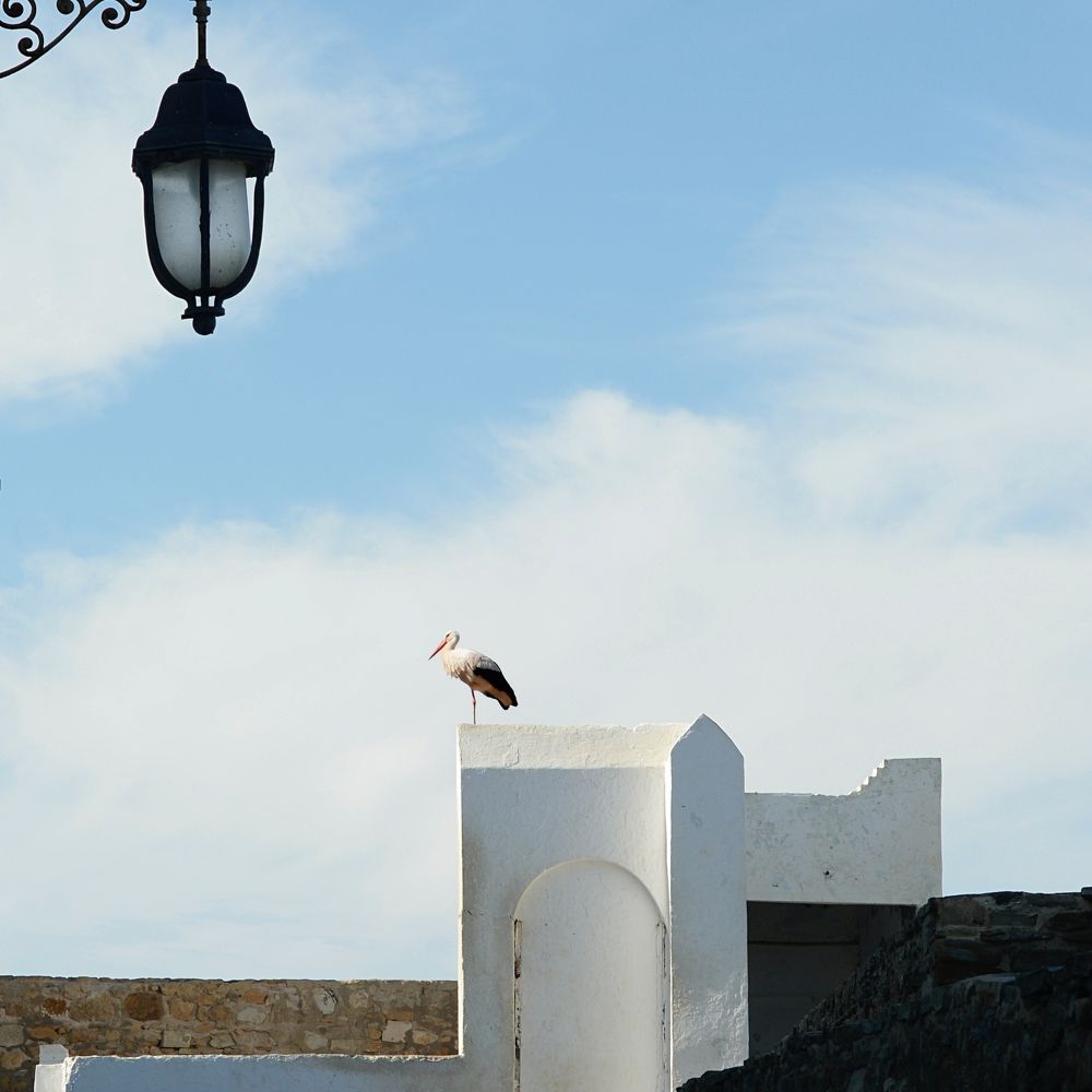 Photograph by Adrian Pablo Rosati