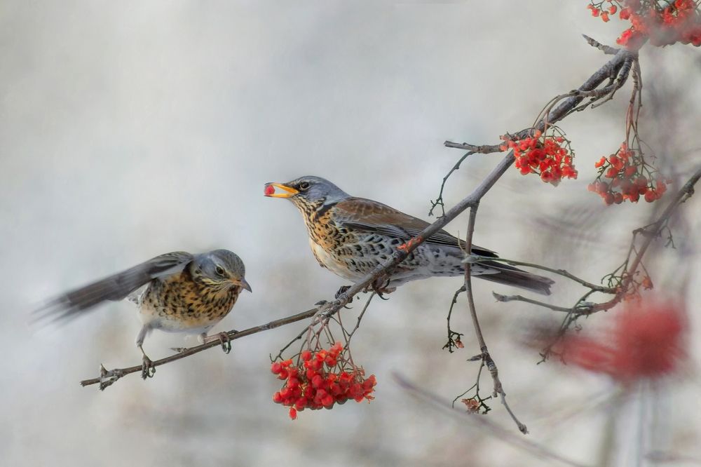 Photograph by Александр Канцур