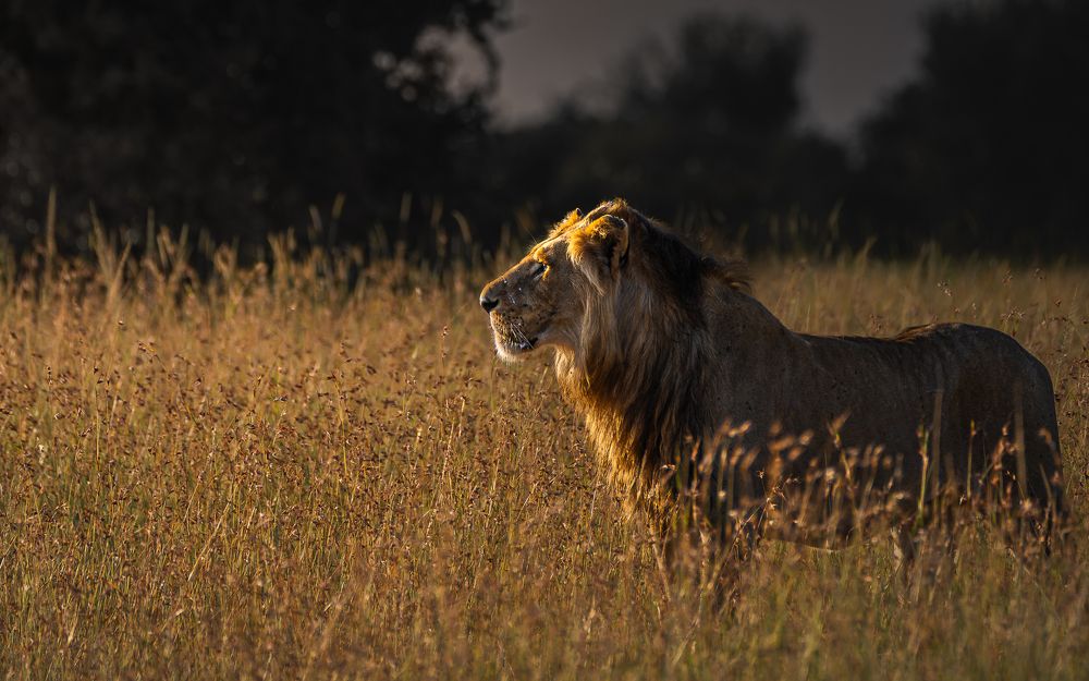 Photograph by Jayakumar MN