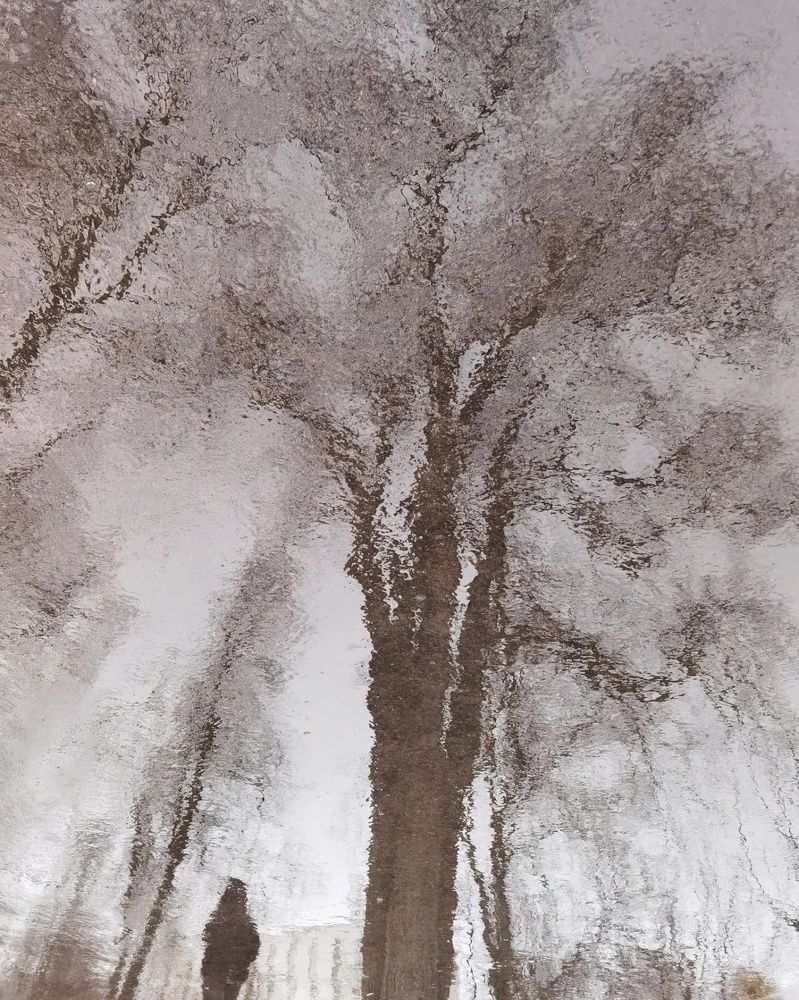 Photograph by Елена Потерухина