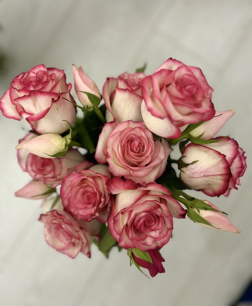 Photograph by Амирова Анар