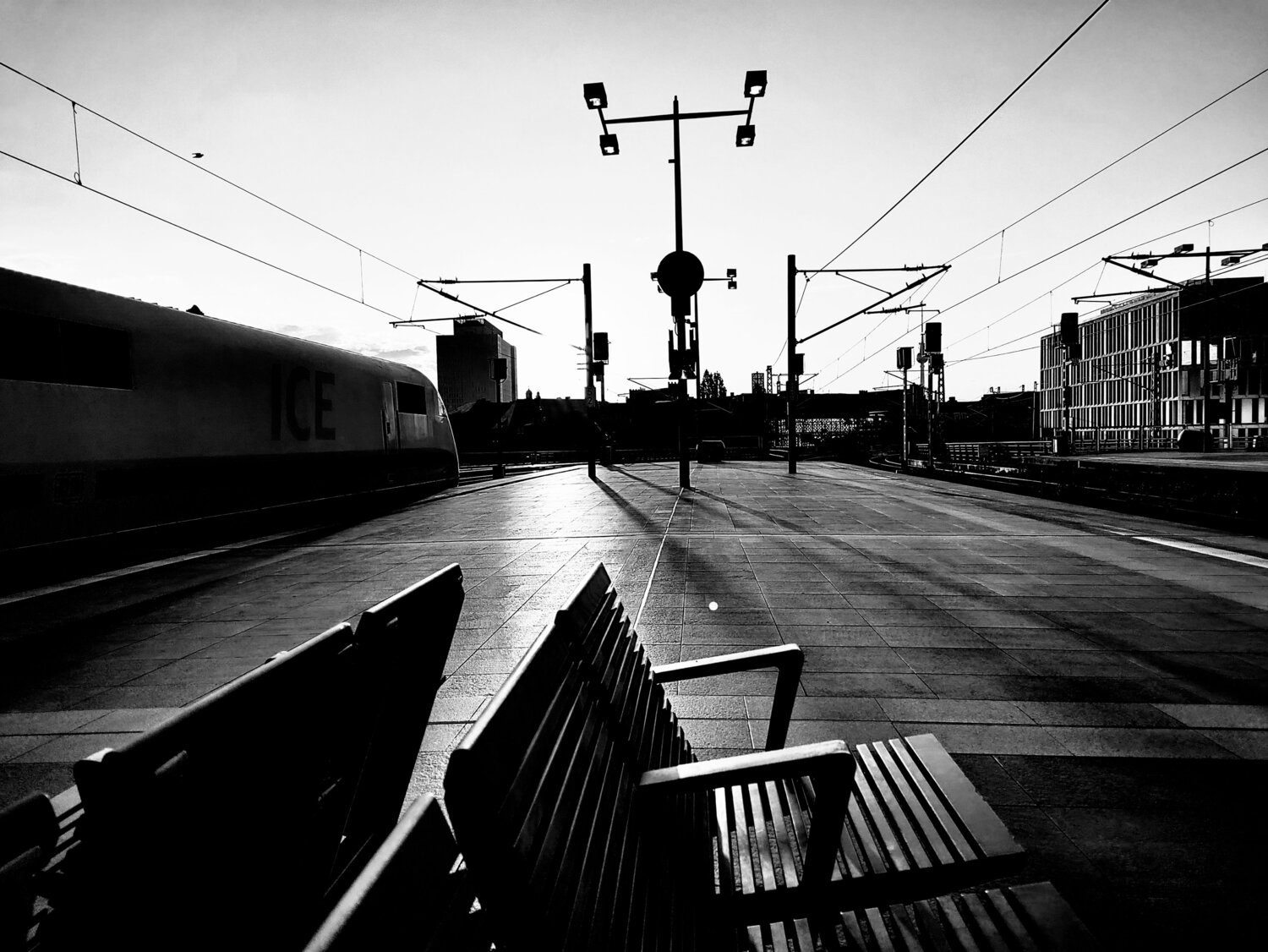 Photo #10433037