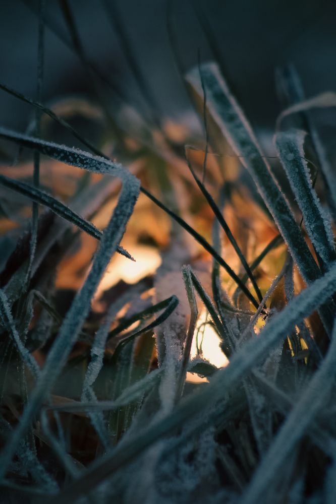 Photograph by Синицын Дмитрий