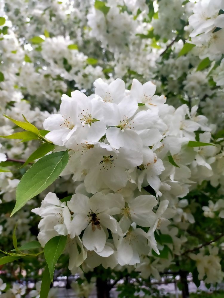 Photograph by Оксана Макарова