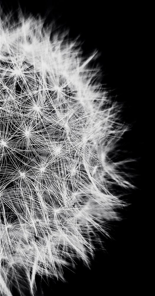 Фотография автора Васильева Ирина