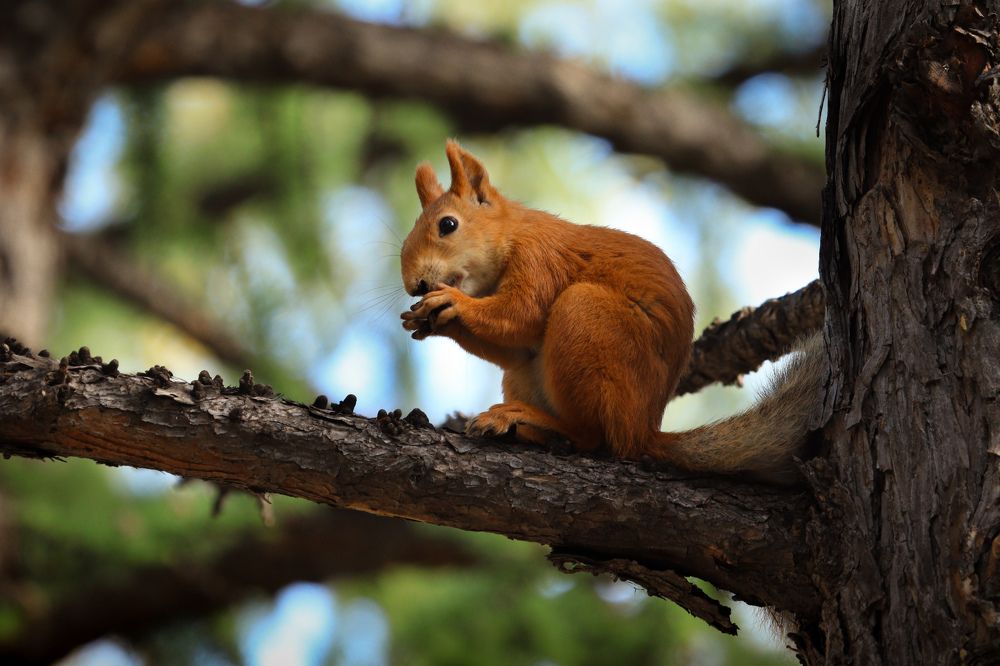 Photograph by Вася Кадочников