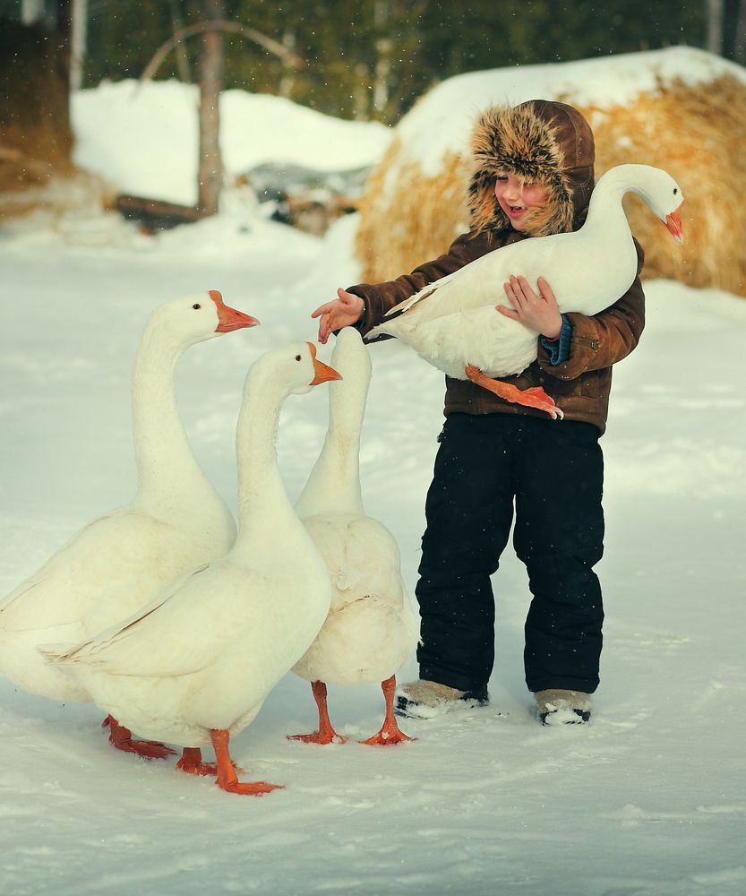 Photograph by Михальчук Надежда