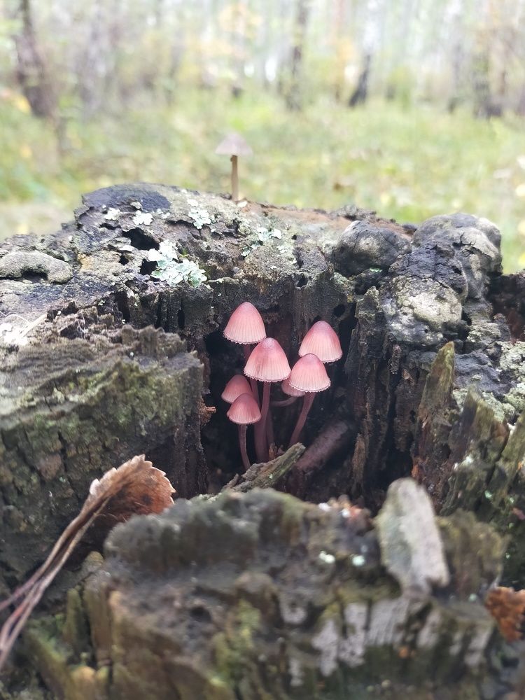 Photograph by Оксана Макарова