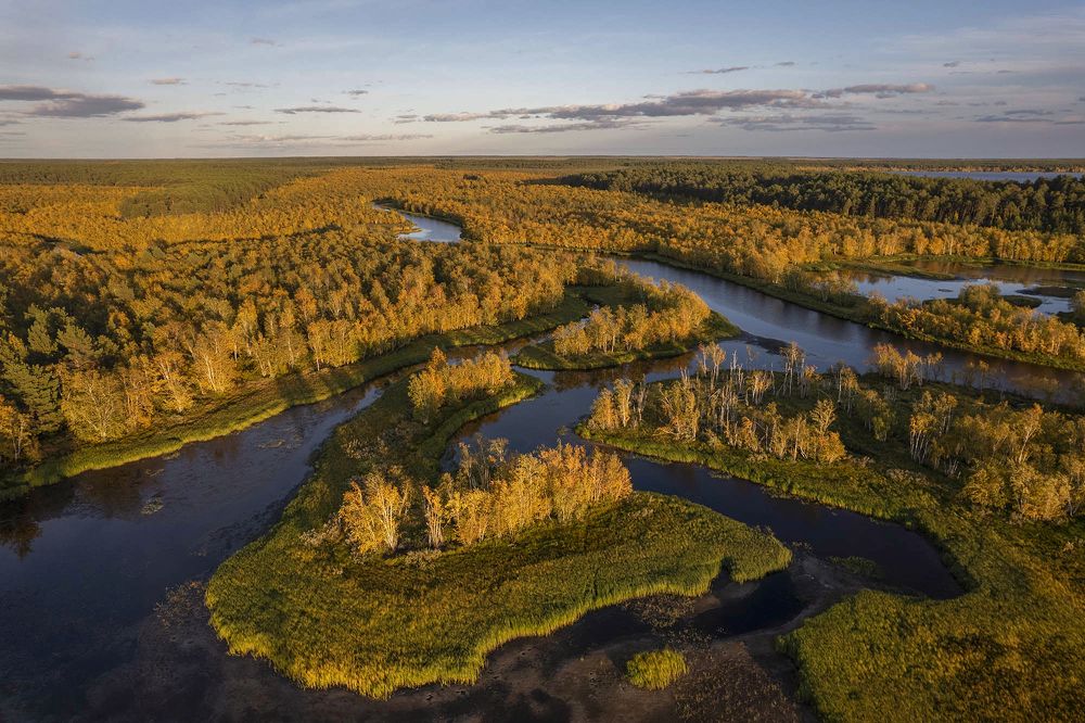 Устье реки Еныя и озеро Арантур