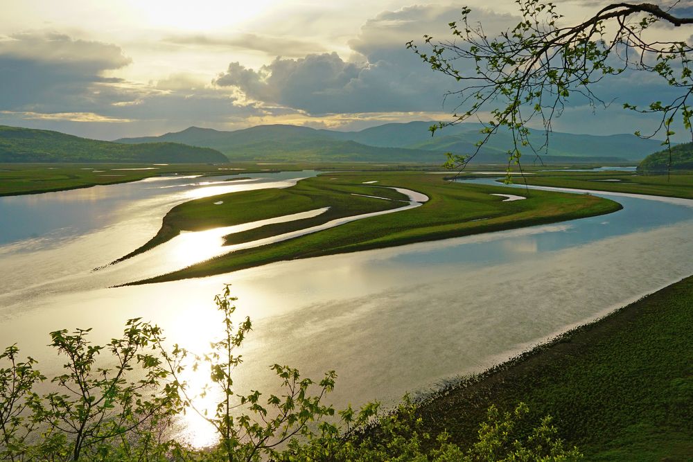 Photograph by Ирина Щеглова