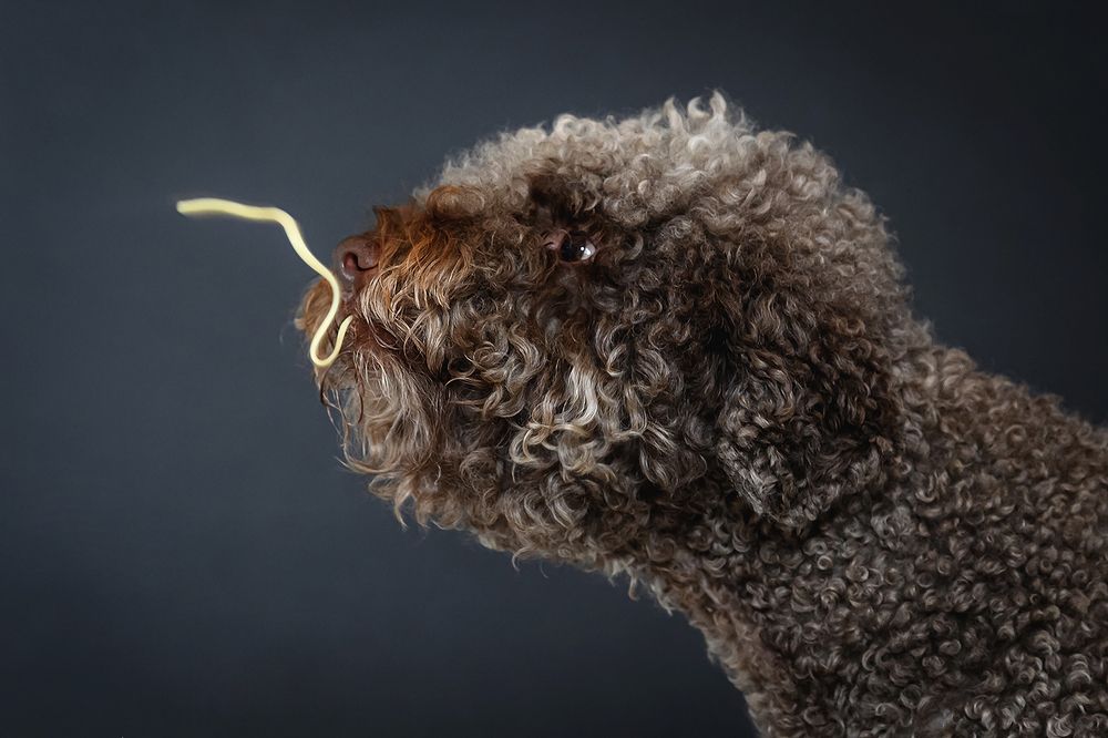 Photograph by Мария Новоселецкая