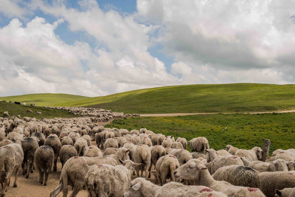 Photograph by Дарья Полева