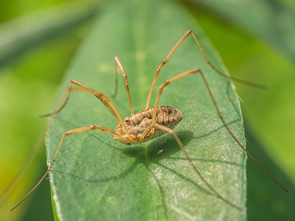 Photograph by БОРИС БЕЛКАНИЯ