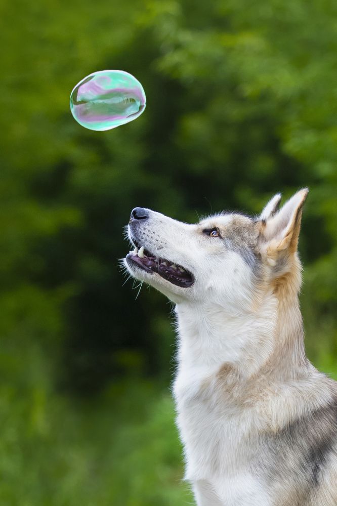 Photograph by Алена Райфутдинова