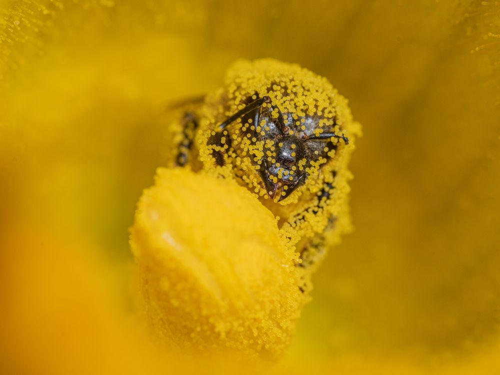 Photograph by БОРИС БЕЛКАНИЯ