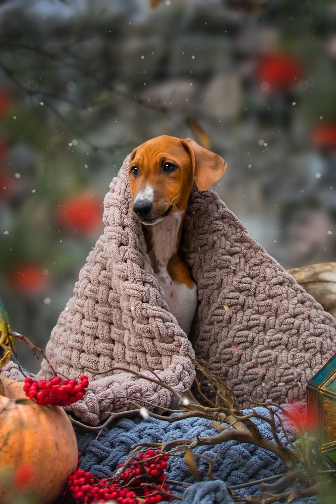 Photograph by Алена Райфутдинова