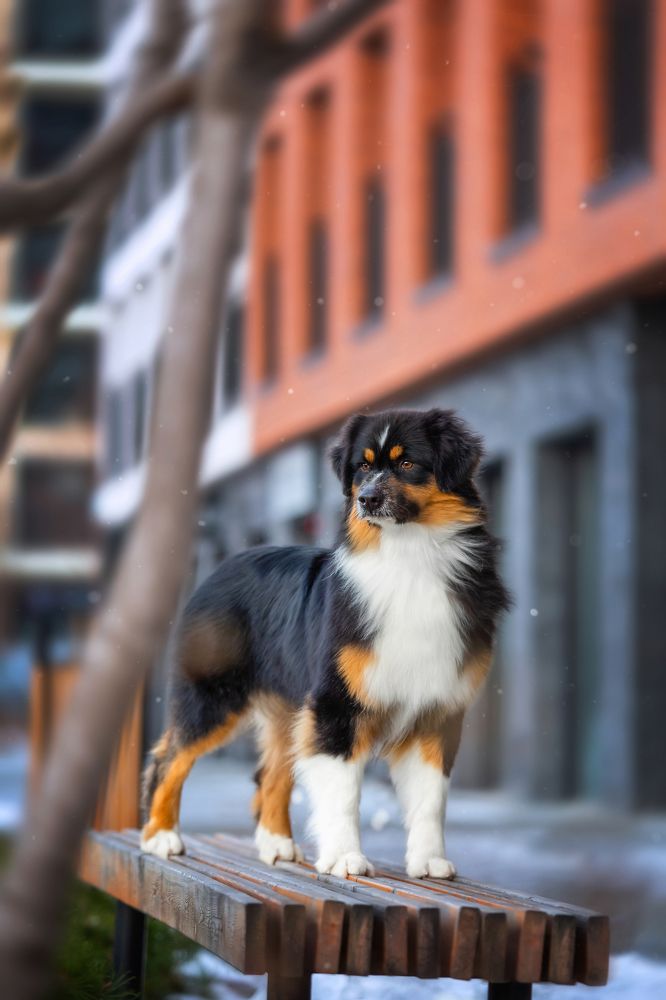 Photograph by Алена Райфутдинова