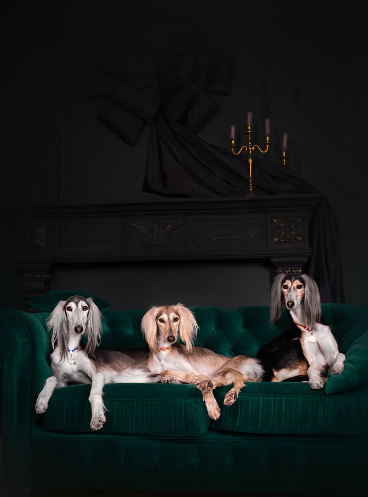 Photograph by Алена Райфутдинова