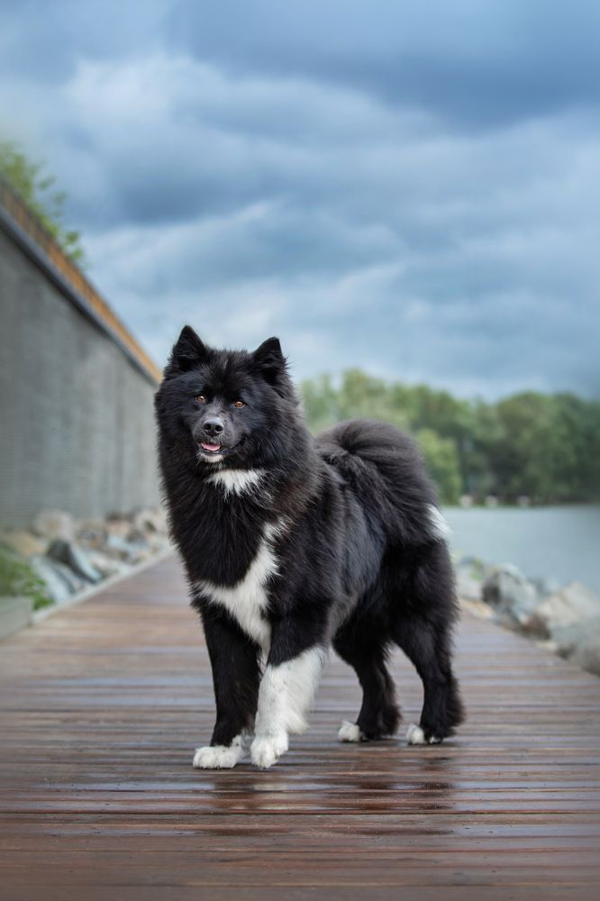 Photograph by Алена Райфутдинова