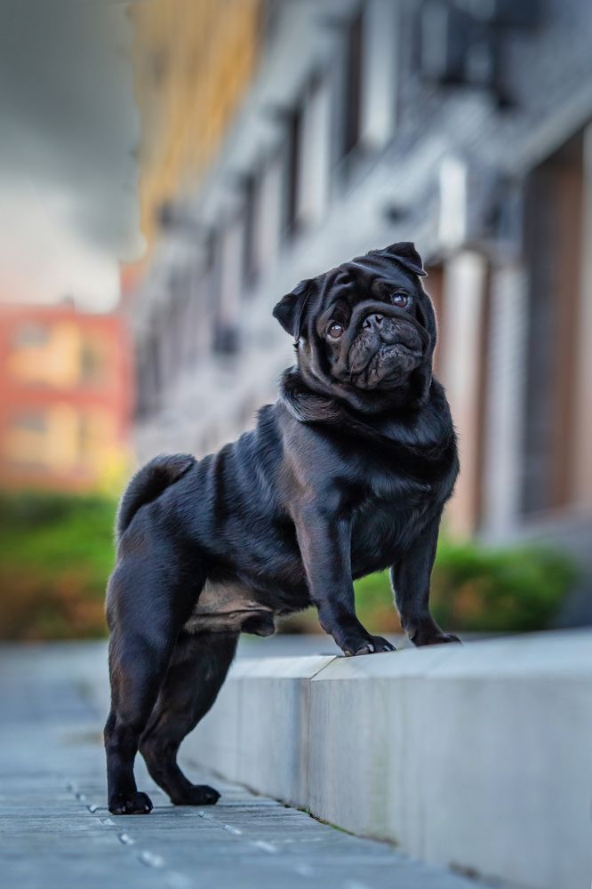 Photograph by Алена Райфутдинова