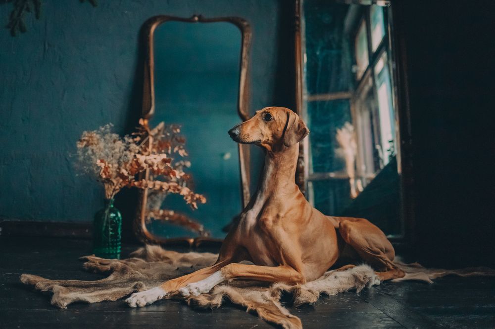 Photograph by Алена Райфутдинова